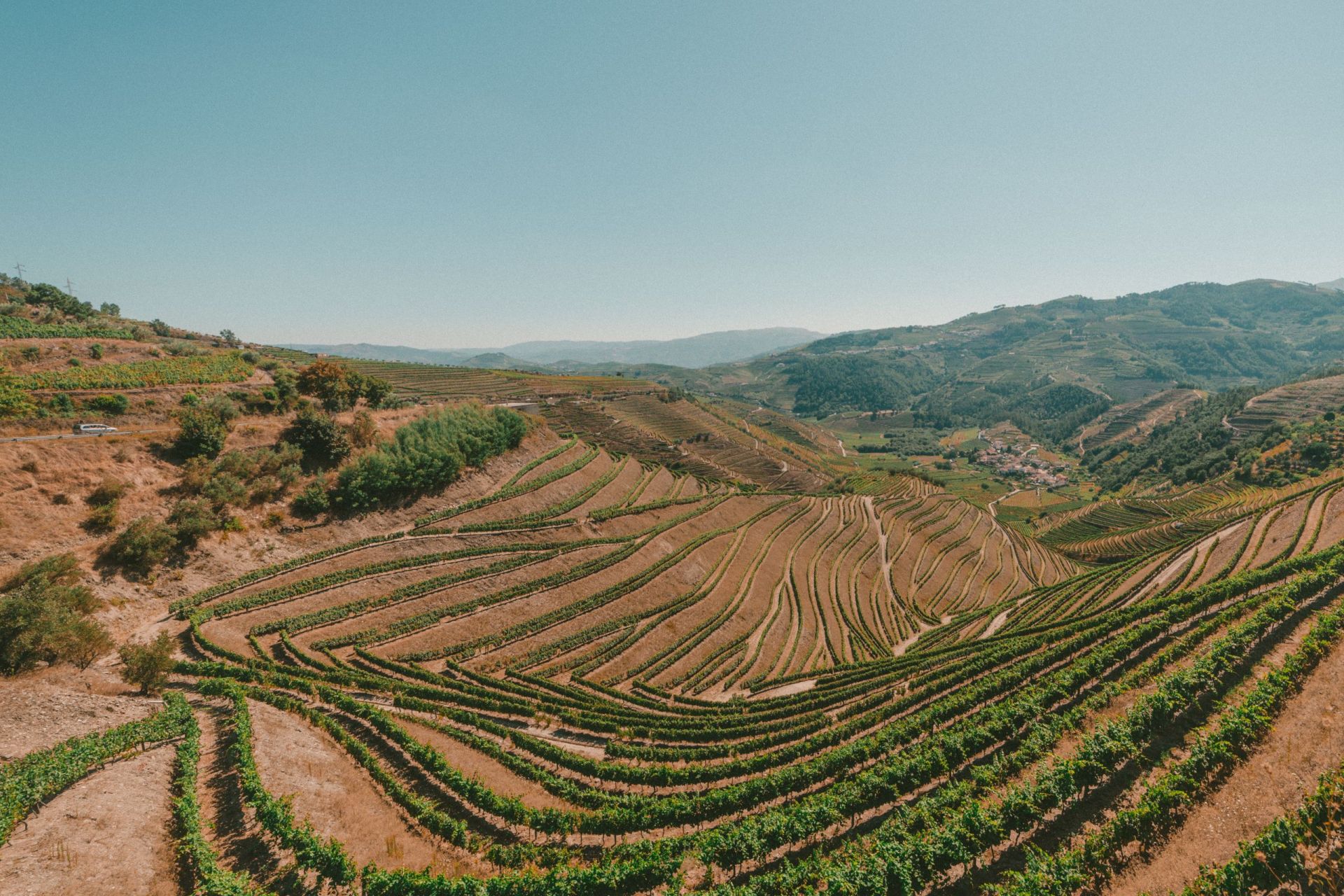 Grape Essence - Exclusive Wine Experiences